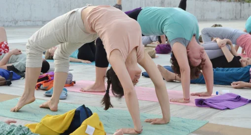 300 Hour Yoga Teacher Training in Rishikesh India