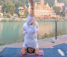 yoga teacher training in india